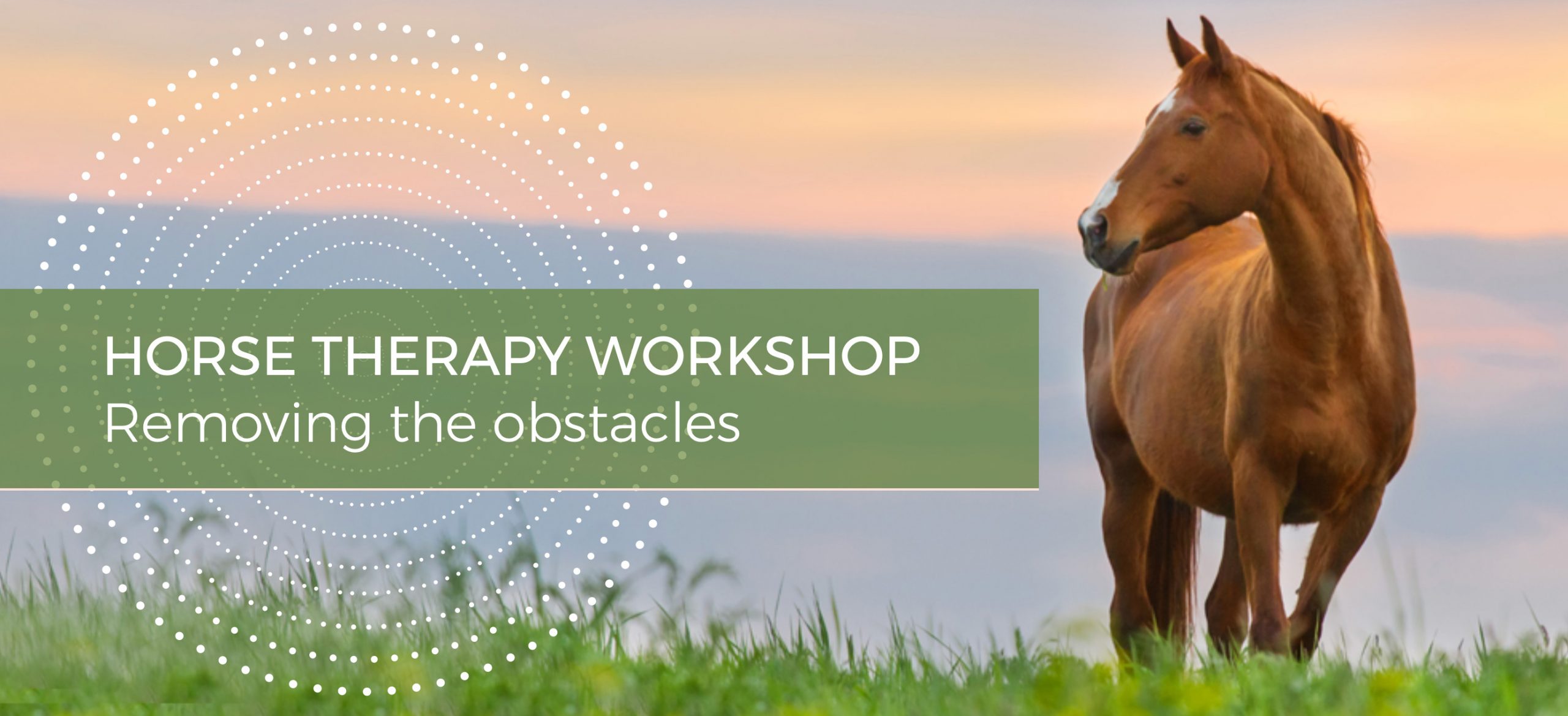 Horse Therapy Workshop - Conversations with Spirit