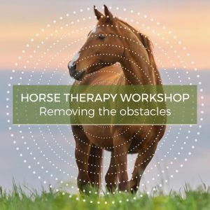 Horse Therapy Workshop - Conversations with Spirit