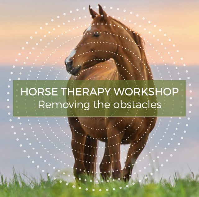 Horse Therapy Workshop - Conversations with Spirit