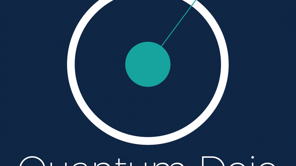 Quantum Dojo